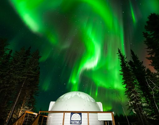 Pleasant Acres Reindeer Ranch by null