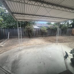 No more tree No more tree