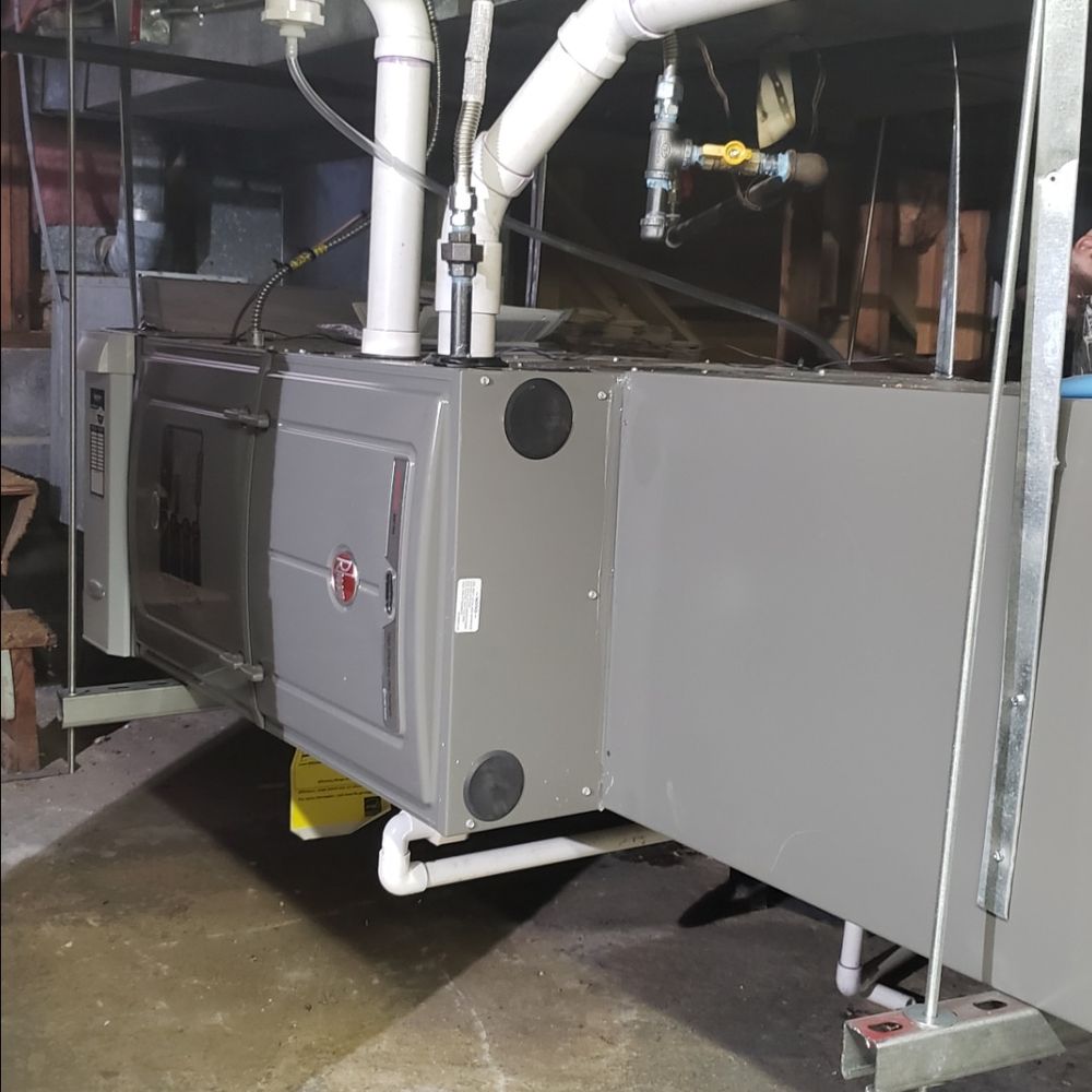 Slide of Jenalia Mechanical