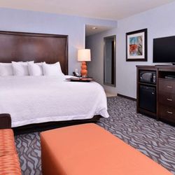 Hampton Inn Rome - Guest room