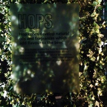 Guinness Storehouse - Hops! - Breweries Near Me - Dublin, D Guinness Storehouse - Hops! - Breweries Near Me - Dublin, D