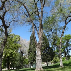 Lindsey Gardens