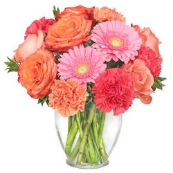 Venice Garden of Eden Florist