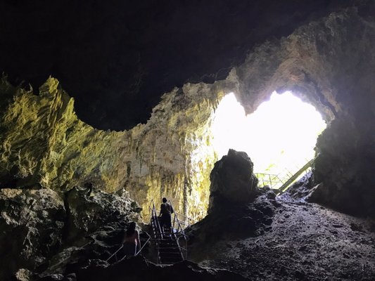 Mammoth Cave by null