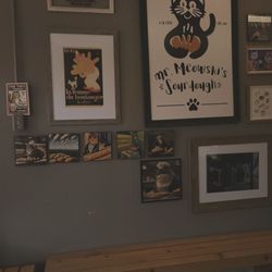 Mr. Meowski’s Sourdough - Waiting area and wall art