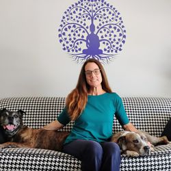Jamie, Samson, and Bondi