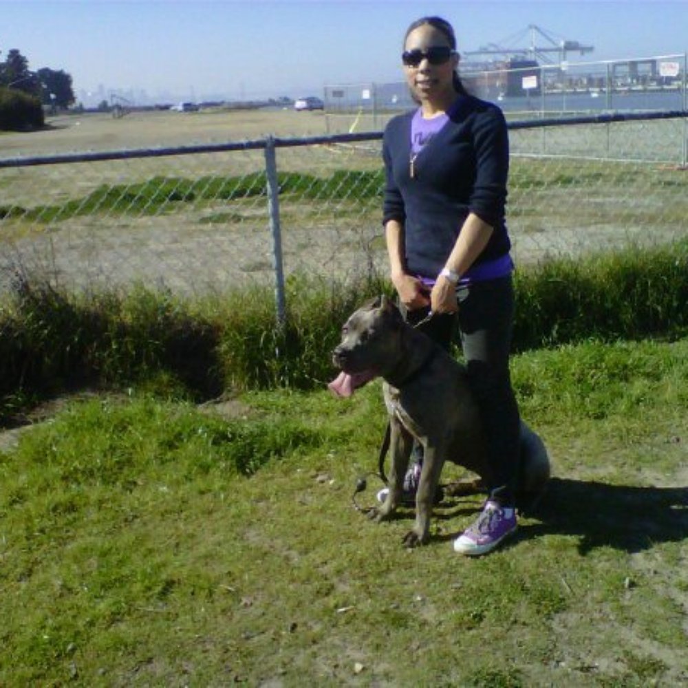 Main Street Dog Park - PERFECT place for him - Dog Parks Near Me - Alameda, California Main Street Dog Park - PERFECT place for him - Dog Parks Near Me - Alameda, California