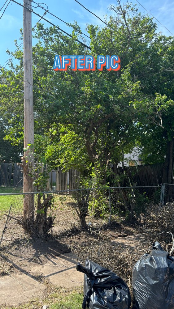 Slide of AL’s Lawn Service & Gonzalez Construction