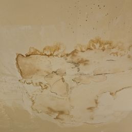 Mold? Mold?