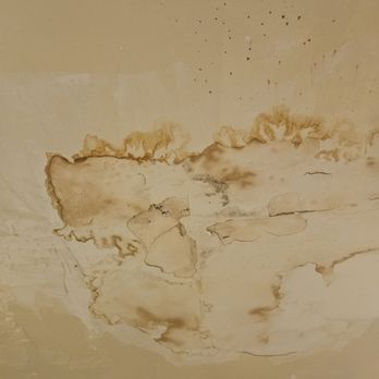 Casa De Reyes - Mold? - Mexican Near Me - San Diego, California Casa De Reyes - Mold? - Mexican Near Me - San Diego, California