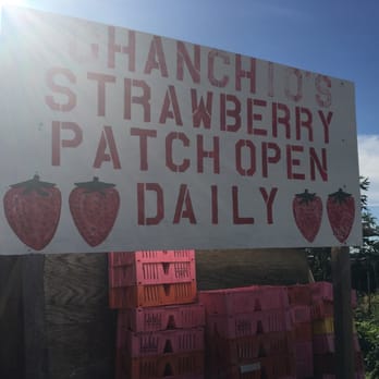 Chanchio's Strawberry Stand - Sign near stand - Fruits & Veggies Near Me - Discovery Bay, California Chanchio's Strawberry Stand - Sign near stand - Fruits & Veggies Near Me - Discovery Bay, California