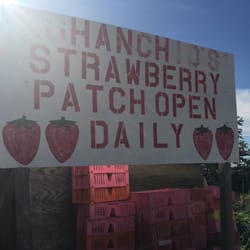 Chanchio's Strawberry Stand - Sign near stand