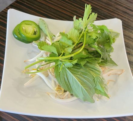 Phở Saigon #8 by null
