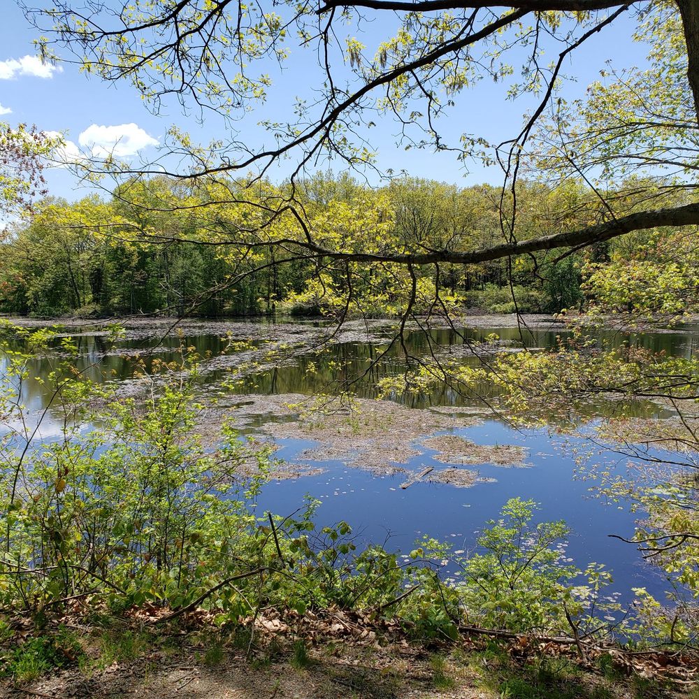 Dutchess County Rail Trail - Lake Walton - Hiking Near Me Dutchess County Rail Trail - Lake Walton - Hiking Near Me