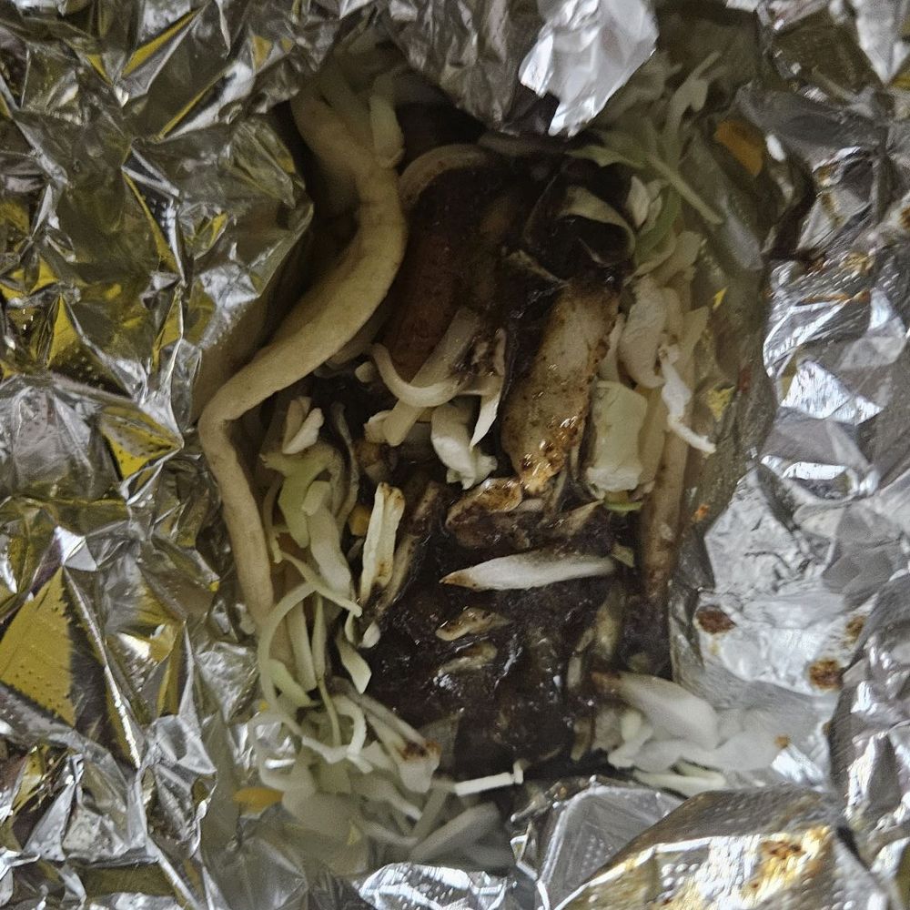 Kingston 5 - Stew chicken taco - Food Trucks Near Me - Orlando, Florida Kingston 5 - Stew chicken taco - Food Trucks Near Me - Orlando, Florida