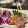 Toshi Sushi gift card