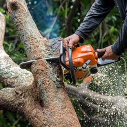 Solutions Concrete and Tree Service