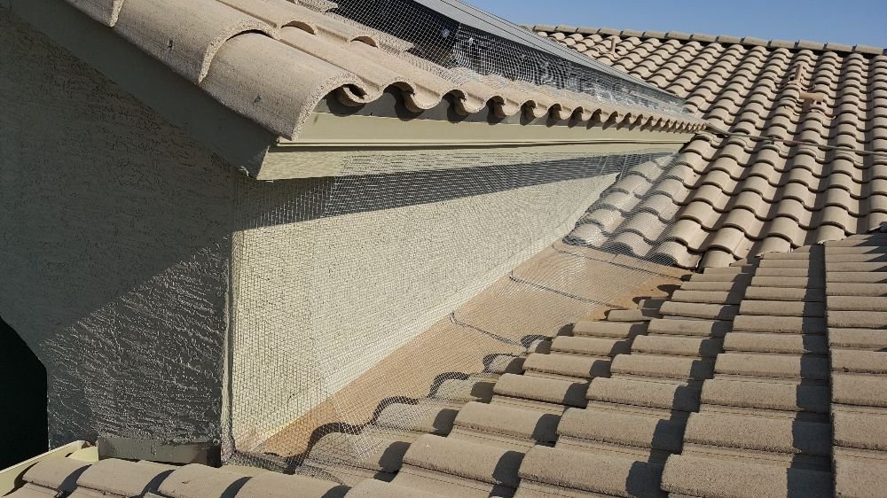 TOP NOTCH WINDOW CLEANING Updated October 2024 10 Photos Buckeye, Arizona Window Washing