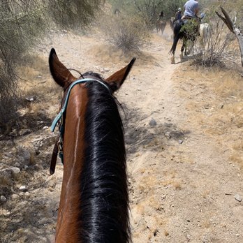 Ponderosa Stables - Buzz! - Horseback Riding Near Me - Phoenix, Arizona Ponderosa Stables - Buzz! - Horseback Riding Near Me - Phoenix, Arizona