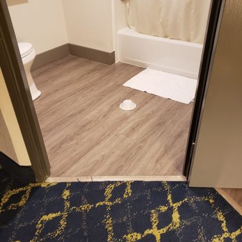 Comfort Suites - Had to cover the roach with a bowl. - Hotels Near Me - Murfreesboro, Tennessee