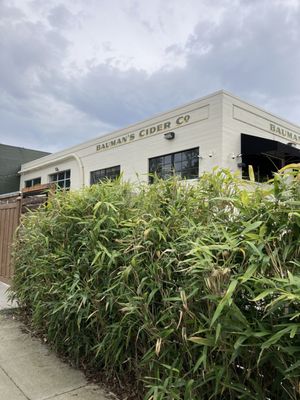 Bauman's on Oak by null