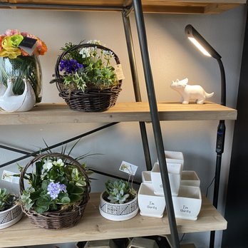 Ballard Blossom - Florists Near Me - Seattle, Washington Ballard Blossom - Florists Near Me - Seattle, Washington