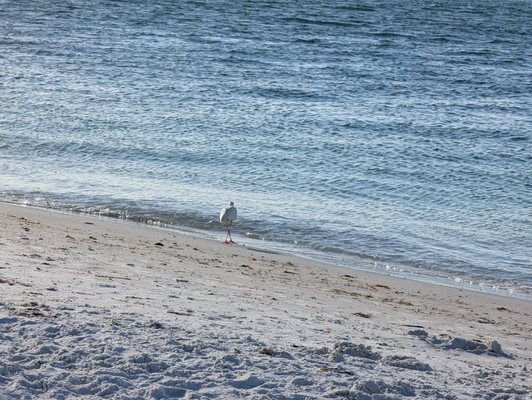 Bean Point Beach by null