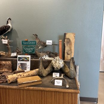 Big Bear Discovery Center - Hiking Near Me - Fawnskin, California