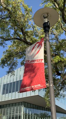 Tulane University by null