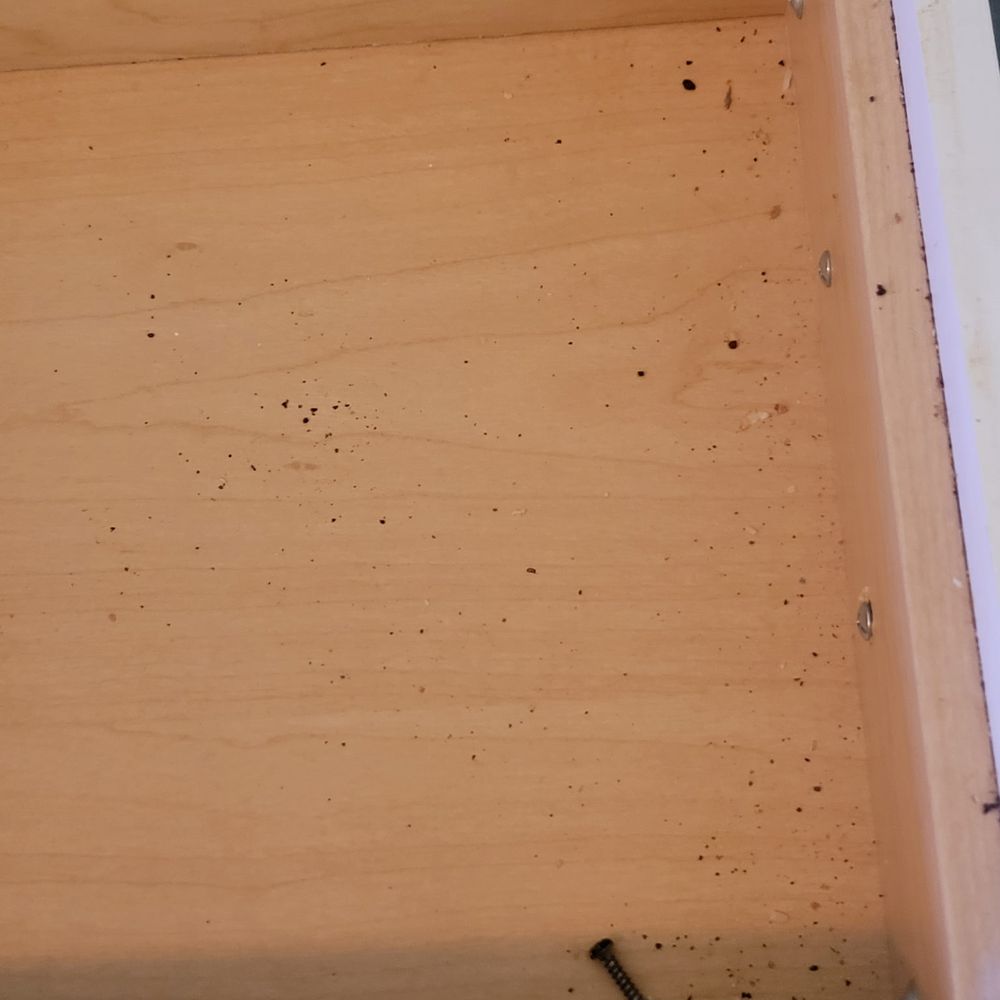 Amara’s Cleaning Solutions - Kitchen drawers left without any cleaning. - Home Cleaning Near Me - Port Charlotte, Florida Amara’s Cleaning Solutions - Kitchen drawers left without any cleaning. - Home Cleaning Near Me - Port Charlotte, Florida