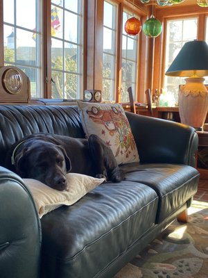 Inn at Huntingfield Creek and Getaway Cottages by null