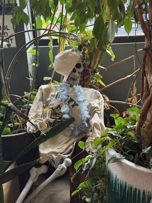 Thirsty Souls Community Brewing by null