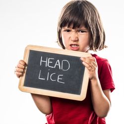 Lice Charmers