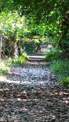 Tifft Nature Preserve by null