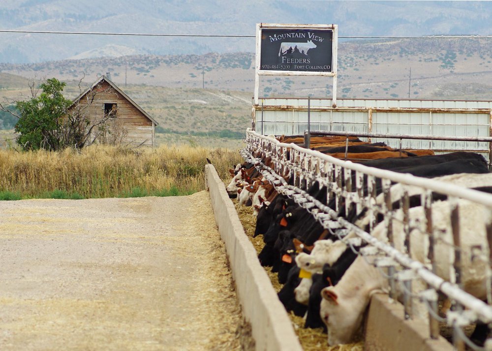 MOUNTAIN VIEW MEATS Updated August 2024 11 Photos 5200 N Co Rd 19