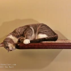 Off The Wall Pet - Cat Shelves