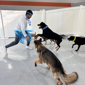 Happy Dogs 4 Life - Pet Groomers Near Me - Hayden, Idaho Happy Dogs 4 Life - Pet Groomers Near Me - Hayden, Idaho