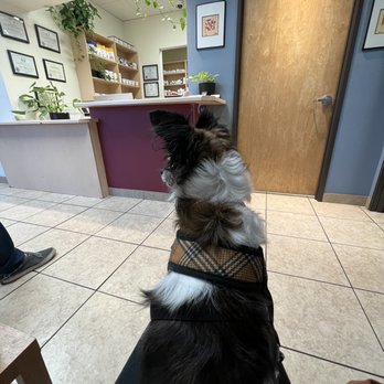 Warm Hearts Pet Hospital - Veterinarians Near Me - Henderson, Nevada Warm Hearts Pet Hospital - Veterinarians Near Me - Henderson, Nevada