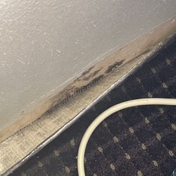 Holiday Inn Express & Suites Plant City - Mold on the wall where the glue failed