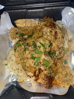 Northern Lites by null