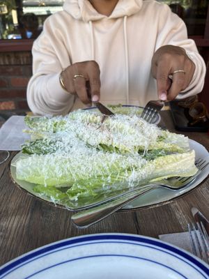 Speedy Romeo by null