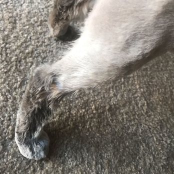 Tender Touch Grooming - Pet Groomers Near Me - Granada Hills, California