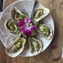 My New Joint - The best oysters!