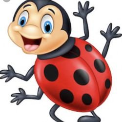 Lady Bug Pest Control Of Florida