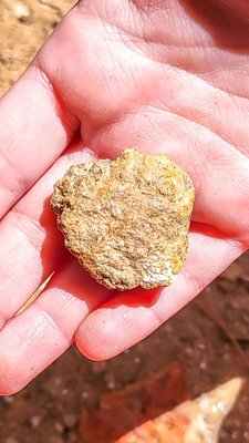 Paris Mountain State Park by null