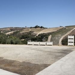 Kiler Ridge Olive Oil
