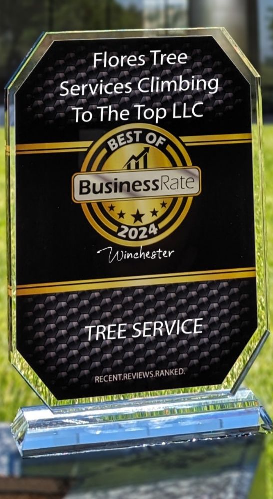 Flores Tree Services Climbing To The Top - tree service in Winchester, KY