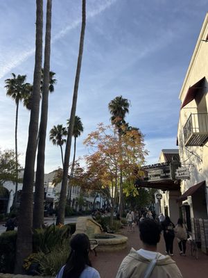 Downtown Santa Barbara by null