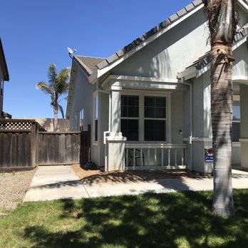 Flores Tree & Landscape - Post extraction 2 - Tree Services Near Me