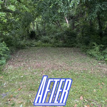Elite Property Services - Tree Services Near Me Elite Property Services - Tree Services Near Me